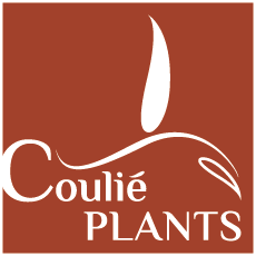 Logo Coulié PLANTS